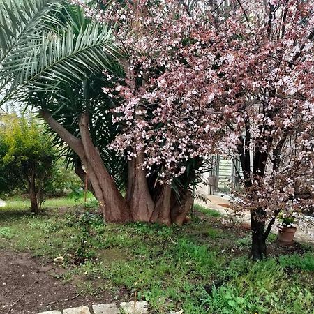 Appartamento Giardino A Mare Bari Esterno foto