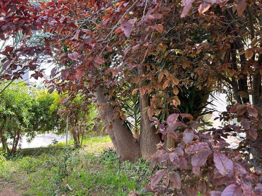 Appartamento Giardino A Mare Bari Esterno foto