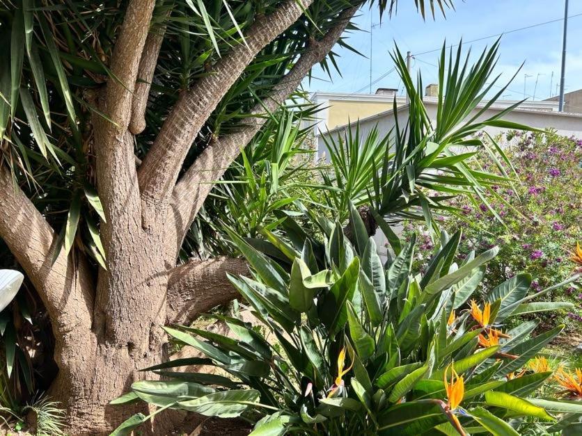Appartamento Giardino A Mare Bari Esterno foto